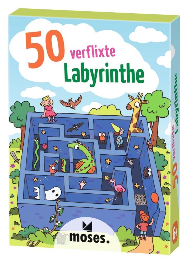 50 verflixte Labyrinthe main product photo