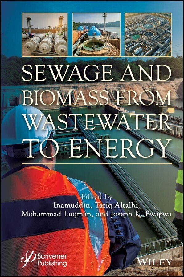 Sewage and Biomass from Wastewater to Energy main product photo