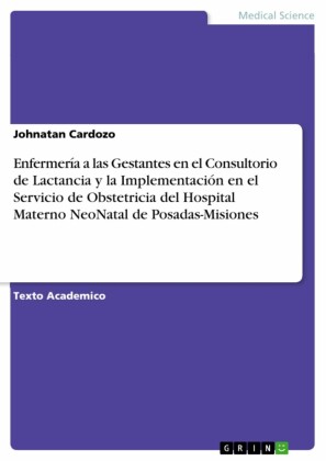 Enfermería a las Gestantes en el Consultorio de Lactancia y la Implementación en el Servicio de Obstetricia del Hospital Materno NeoNatal de Posadas-Misiones