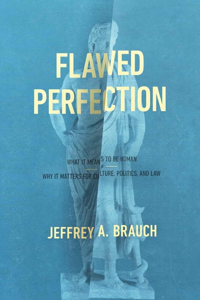 Flawed Perfection main product photo