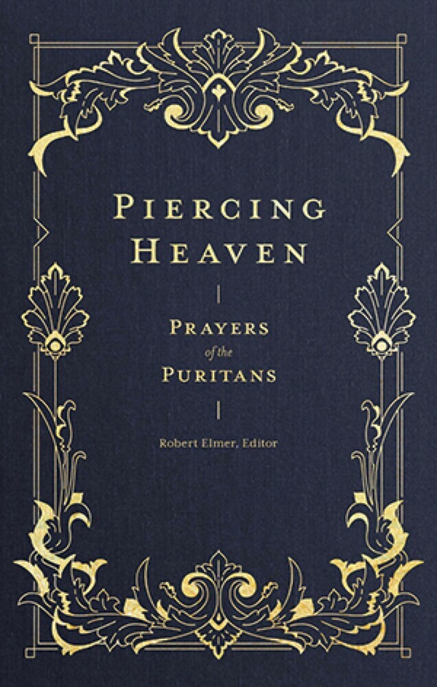 Piercing Heaven main product photo