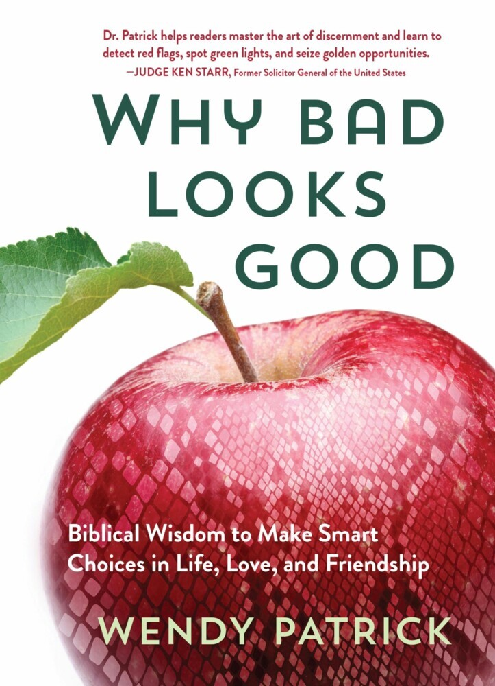 Why Bad Looks Good main product photo