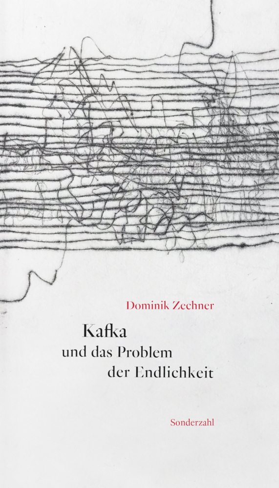 Kafka und das Problem der Endlichkeit main product photo