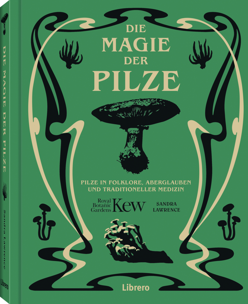 Die Magie der Pilze main product photo