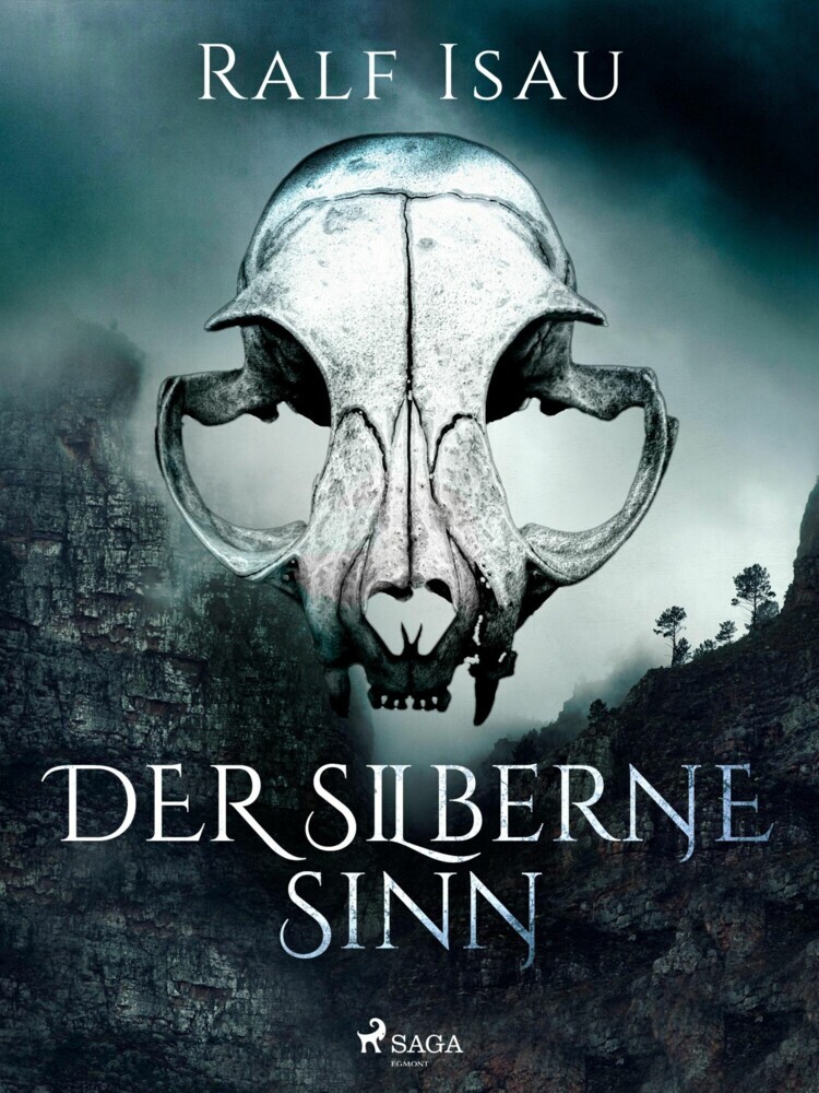Der silberne Sinn main product photo