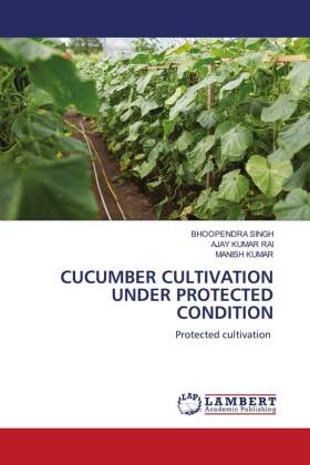 CUCUMBER CULTIVATION UNDER PROTECTED CONDITION