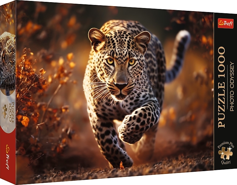Photo Odyssey: Wild Leopard main product photo