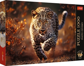 Photo Odyssey: Wild Leopard