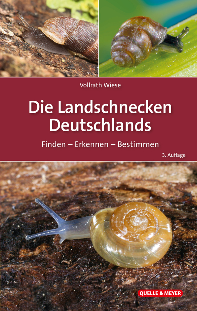 Die Landschnecken Deutschlands main product photo