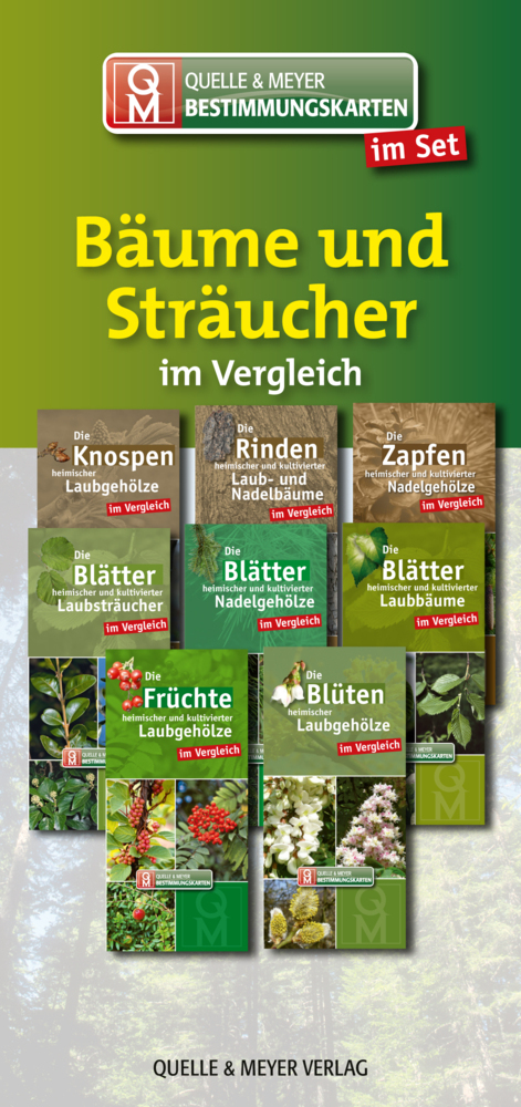 Bestimmungskarten-Set "Bäume und Sträucher", 8 Teile main product photo