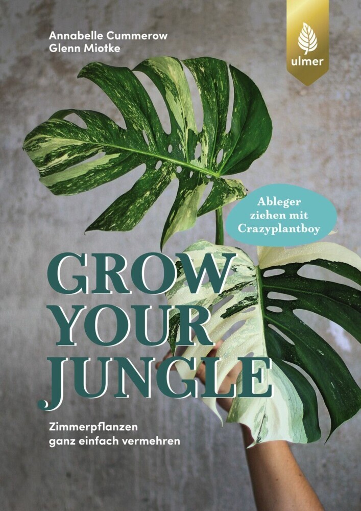 Grow your Jungle main product photo