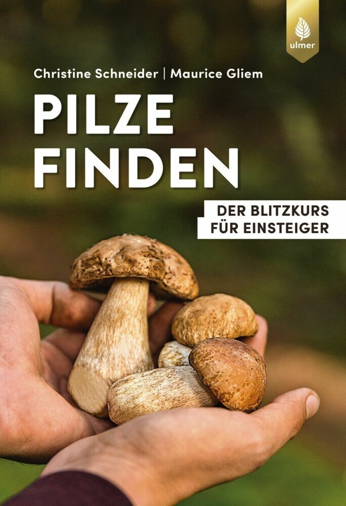 Pilze finden main product photo