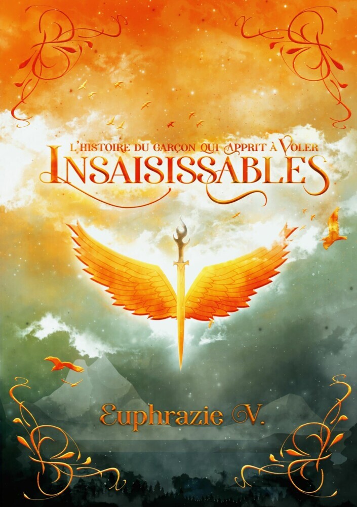 Insaisissables main product photo