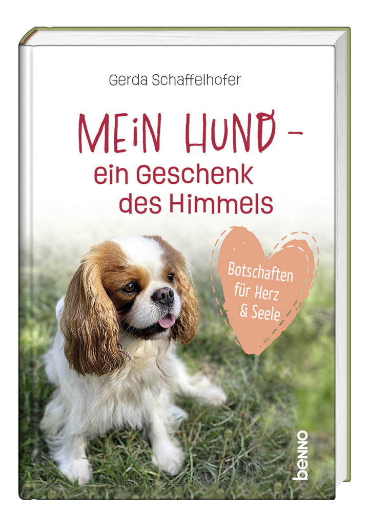 Mein Hund - ein Geschenk des Himmels main product photo