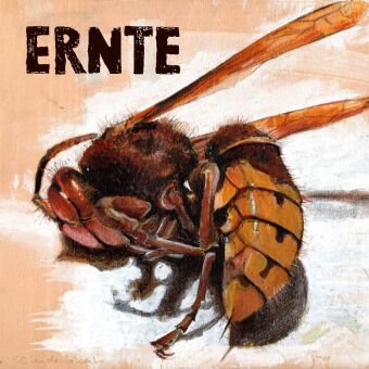 Ernte, 1 Audio-CD (Digipak)