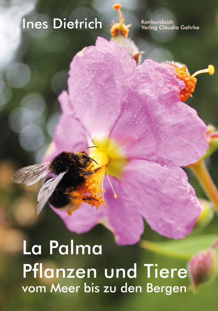 La Palma. Pflanzen und Tiere vom Meer bis zu den Bergen main product photo