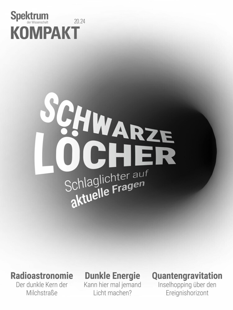 Spektrum Kompakt - Schwarze Löcher main product photo