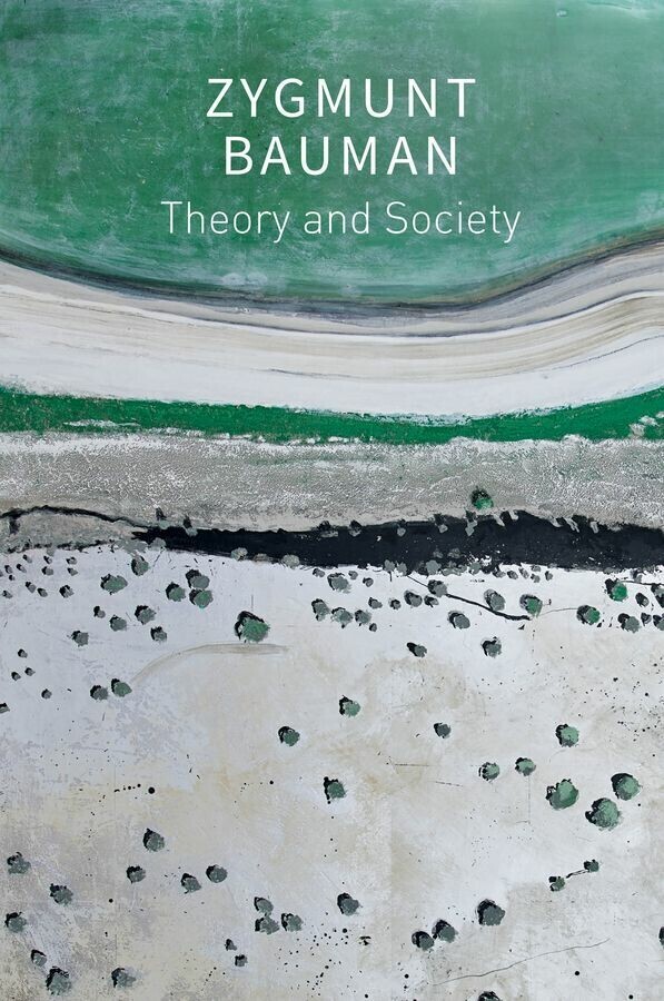 Theory and Society main product photo