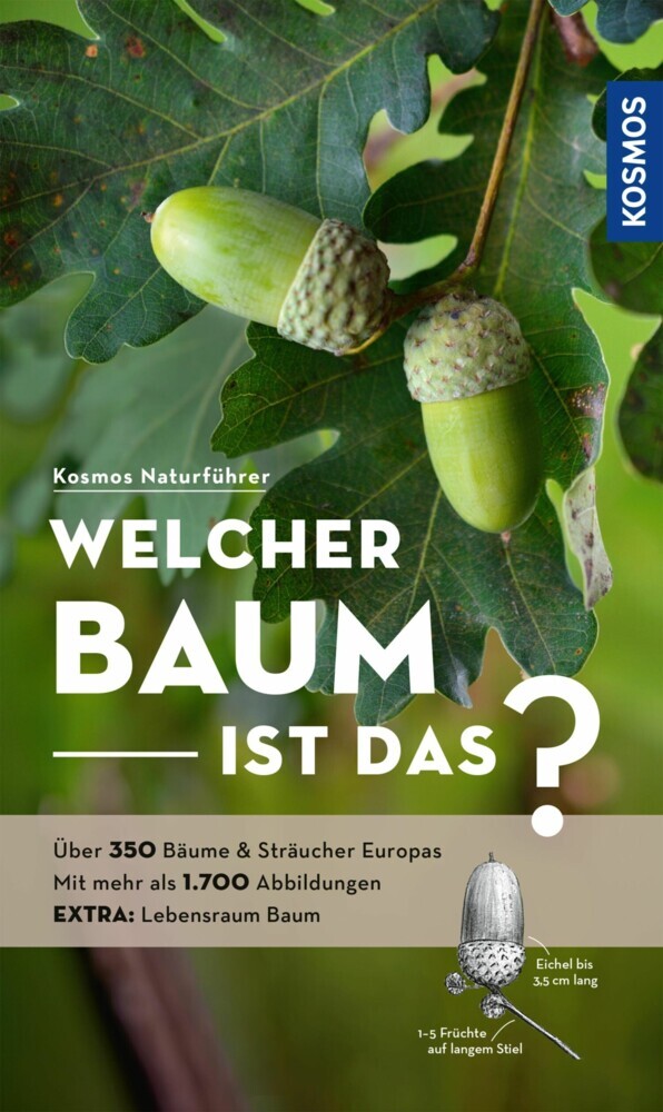 Welcher Baum ist das? main product photo