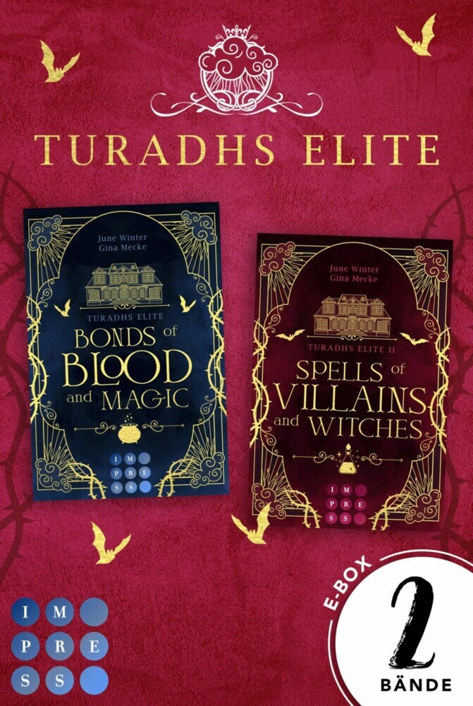 Turadhs Elite: Die magische Dark Academia Romantasy in einer E-Box! (Turadhs Elite) main product photo