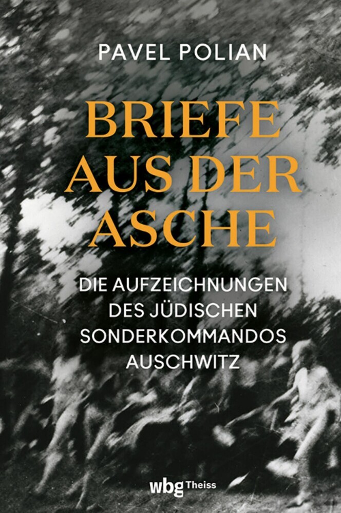 Briefe aus der Asche main product photo