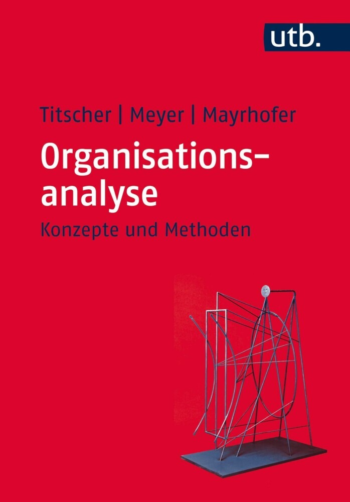 Organisationsanalyse main product photo