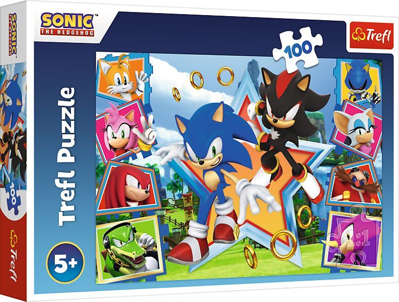 Puzzle 100 - Sonic main product photo