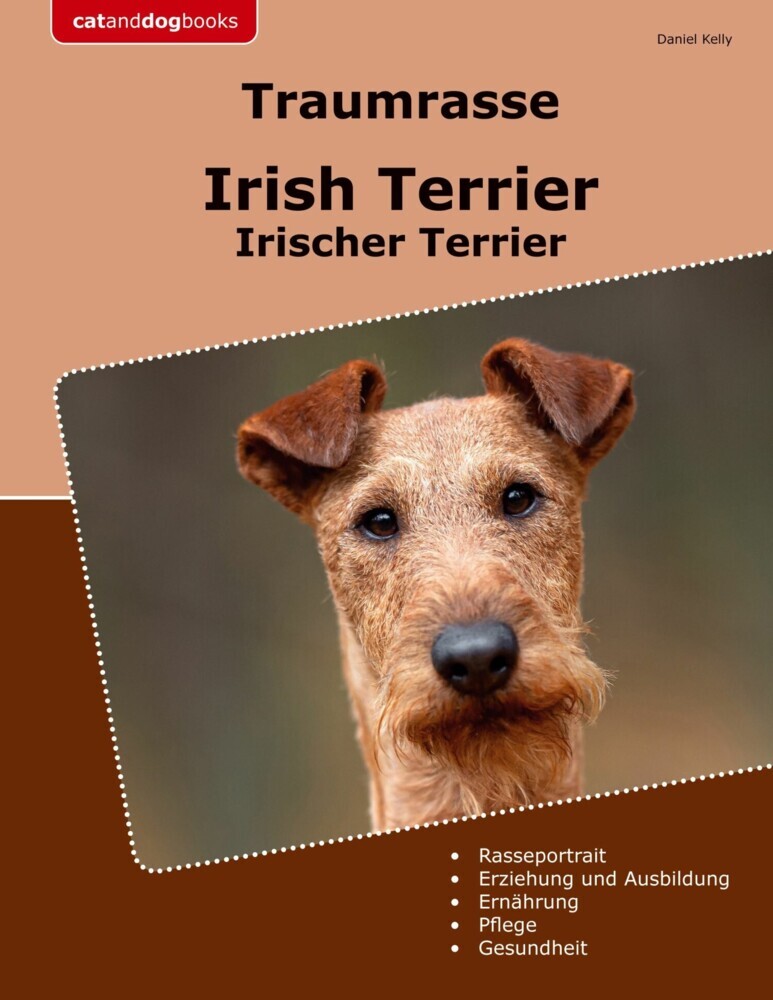 Traumrasse Irish Terrier main product photo