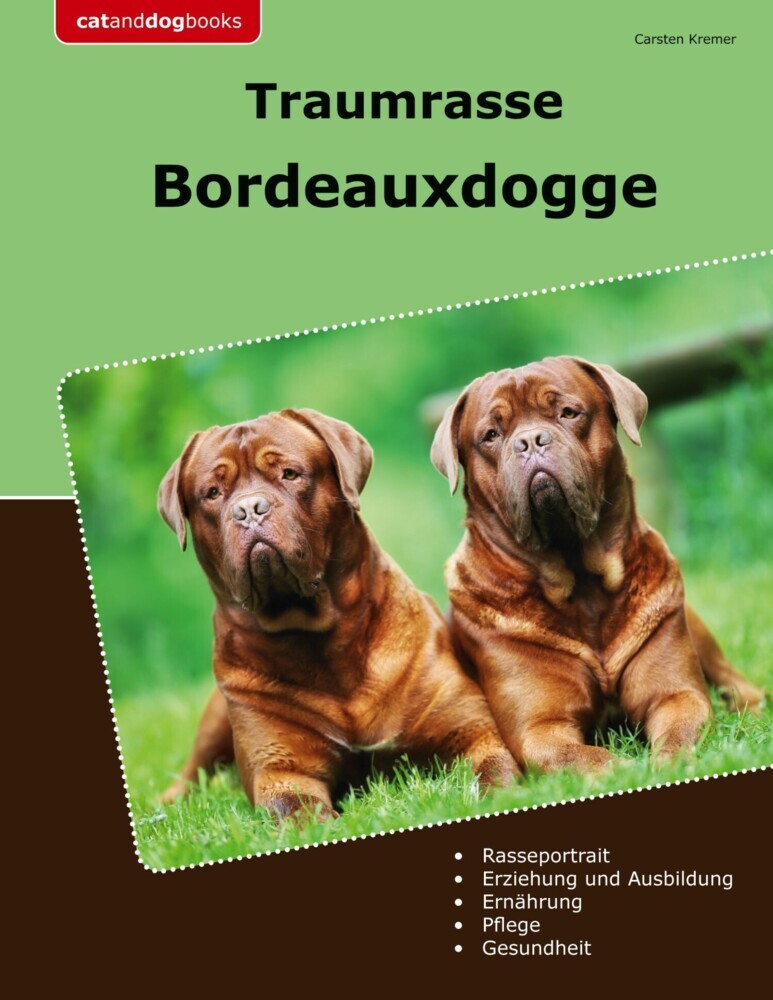 Traumrasse Bordeauxdogge main product photo
