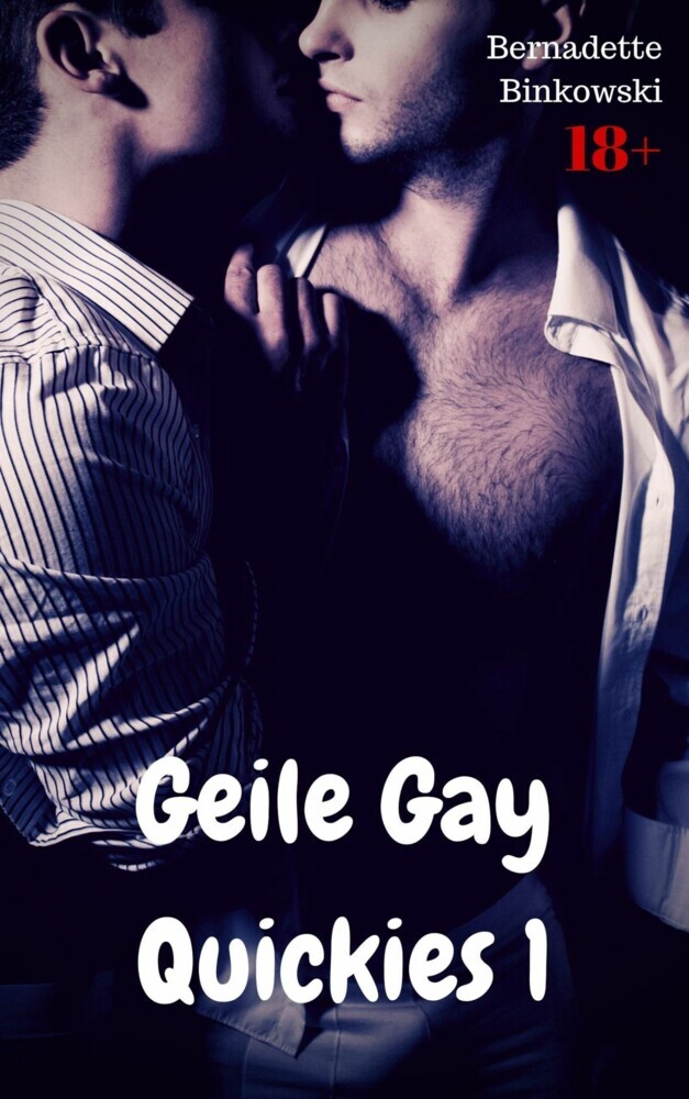 Geile Gay Quickies 1 main product photo