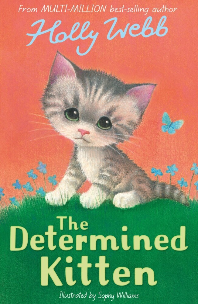 The Determined Kitten main product photo