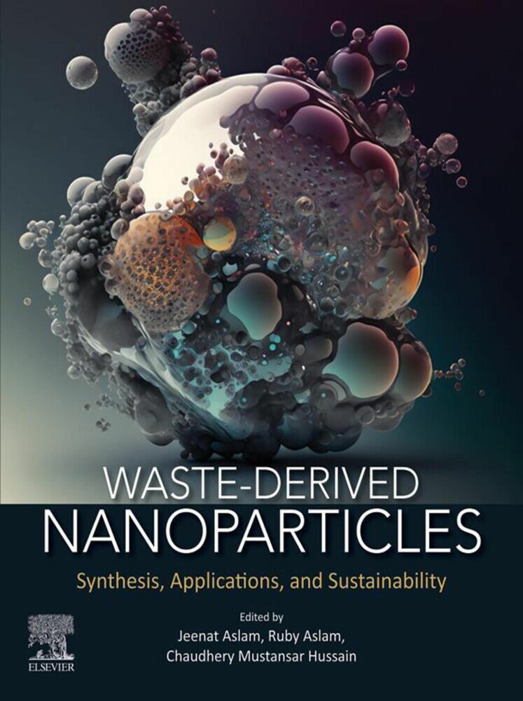 Waste-Derived Nanoparticles main product photo