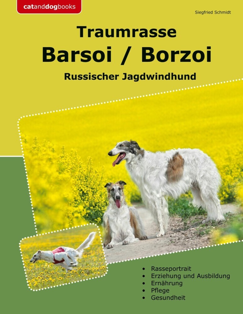 Traumrasse Barsoi / Borzoi main product photo