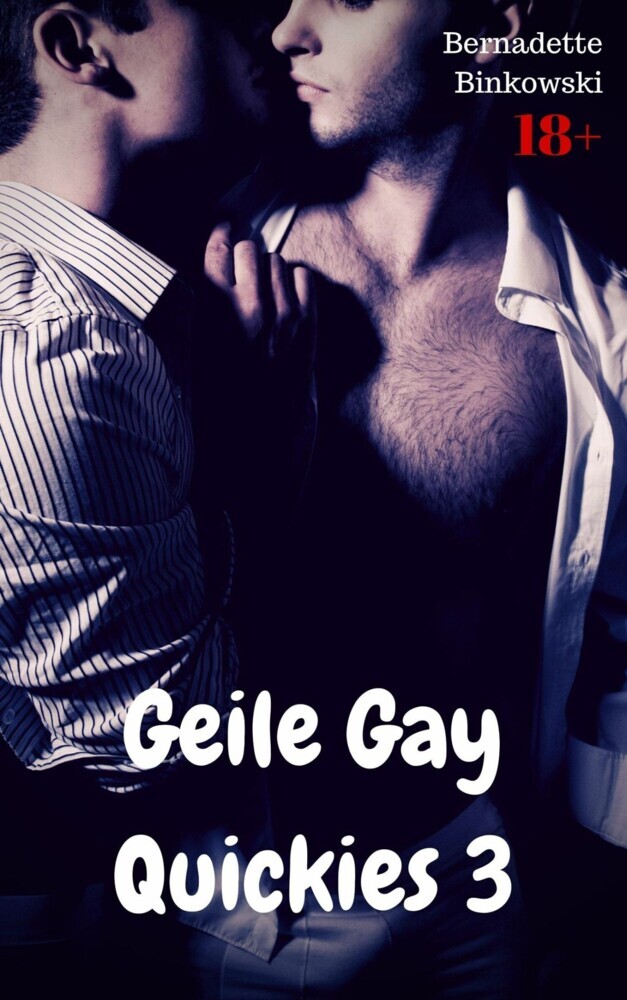 Geile Gay Quickies 3 main product photo