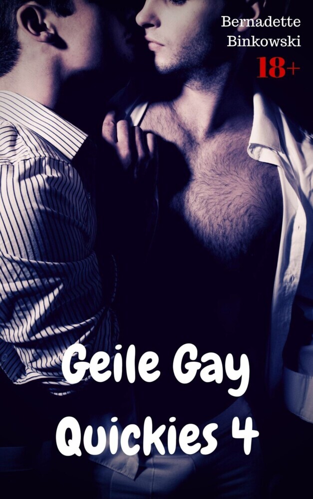 Geile Gay Quickies 4 main product photo