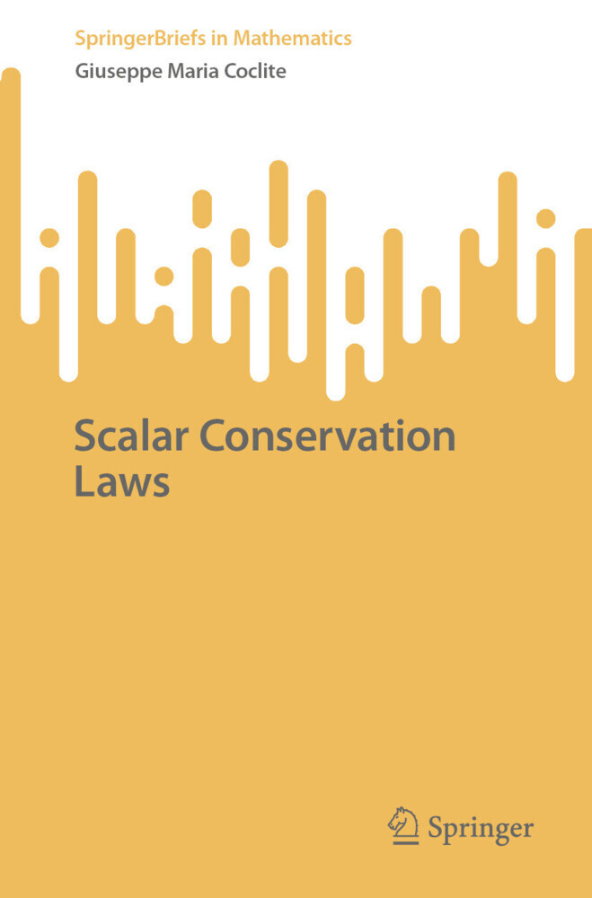 Scalar Conservation Laws main product photo