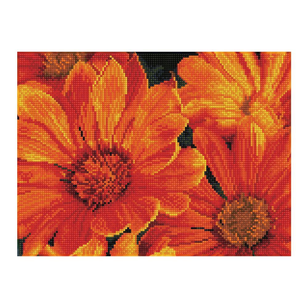 DIAMOND DOTZ - Diamond Painting Mittagsblume main product photo