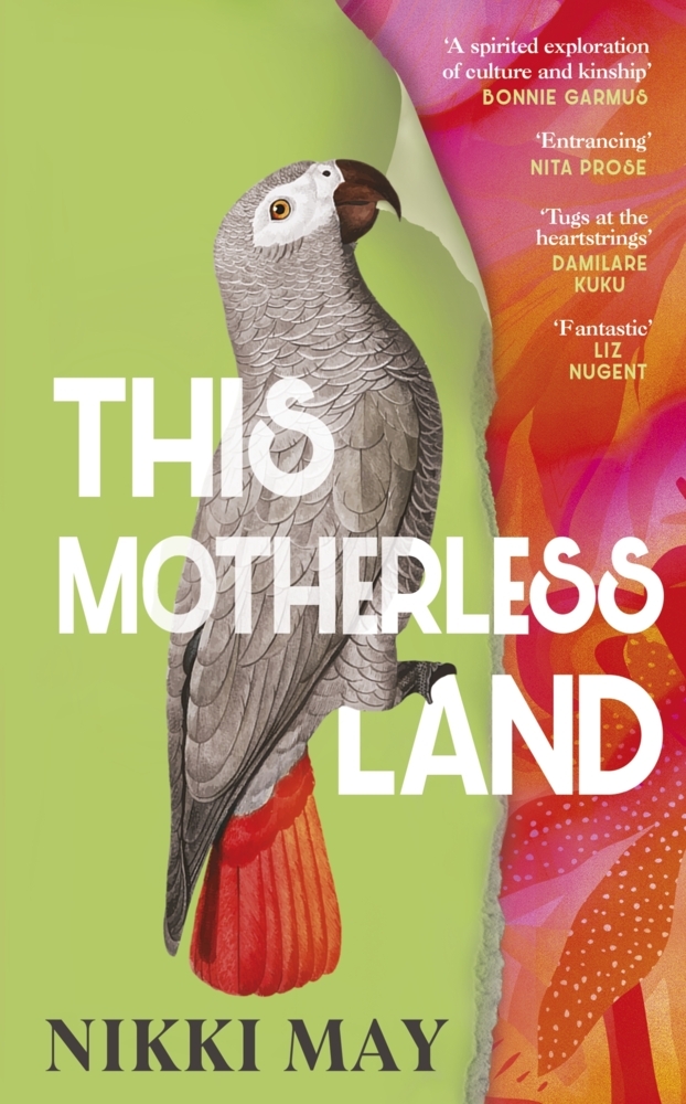 This Motherless Land main product photo