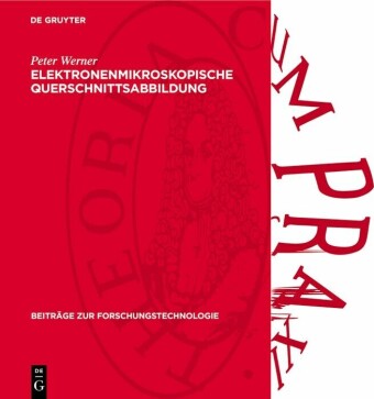 Elektronenmikroskopische Querschnittsabbildung