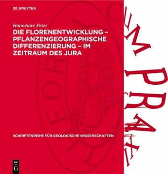 Die Florenentwicklung - pflanzengeographische Differenzierung - im Zeitraum des Jura
