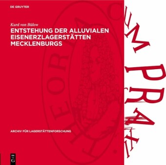 Entstehung der Alluvialen Eisenerzlagerstätten Mecklenburgs