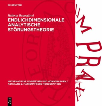 Endlichdimensionale analytische Störungstheorie
