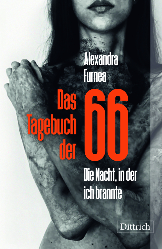 Das Tagebuch der 66 main product photo
