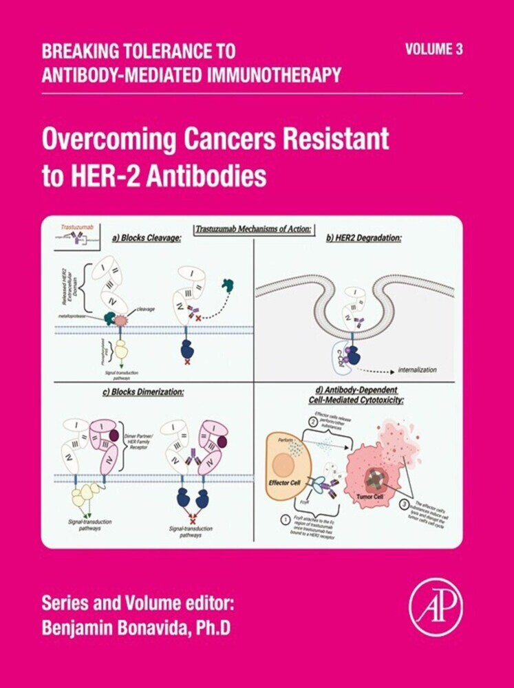 Overcoming Cancers Resistant to HER-2 Antibodies main product photo
