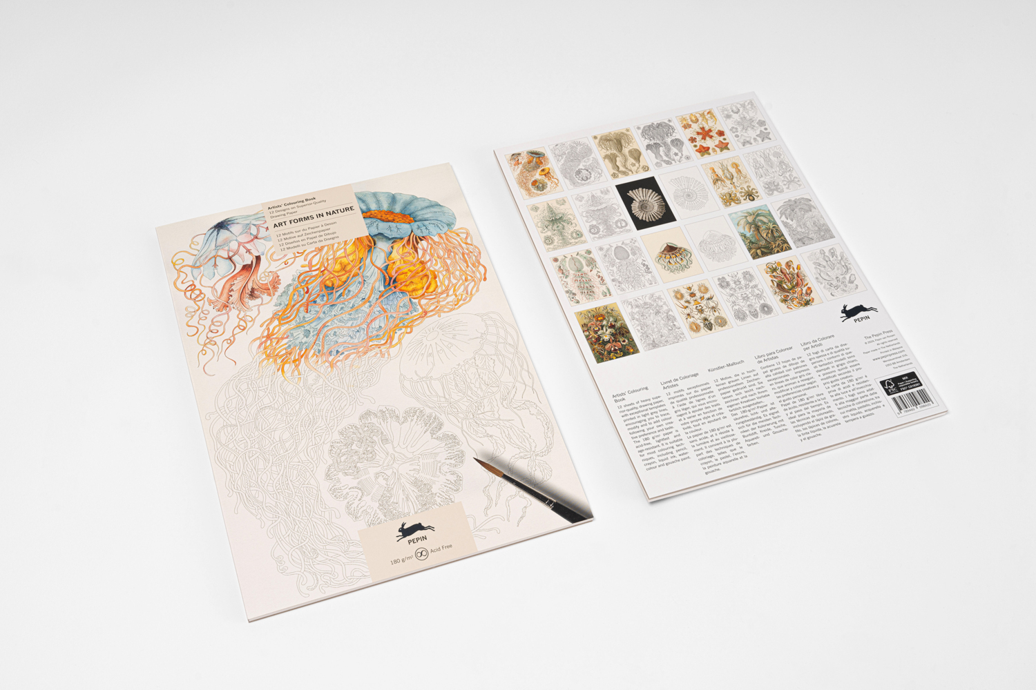 Art Forms in Nature main product photo