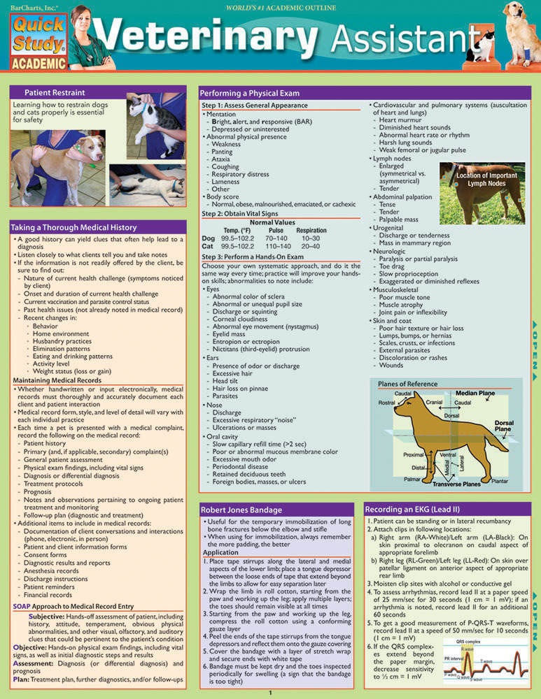 Veterinary Assistant main product photo