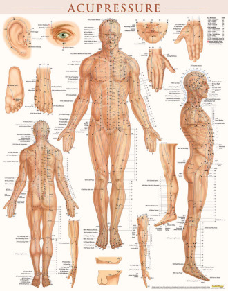 Acupressure Poster (22 x 28 inches) - Laminated