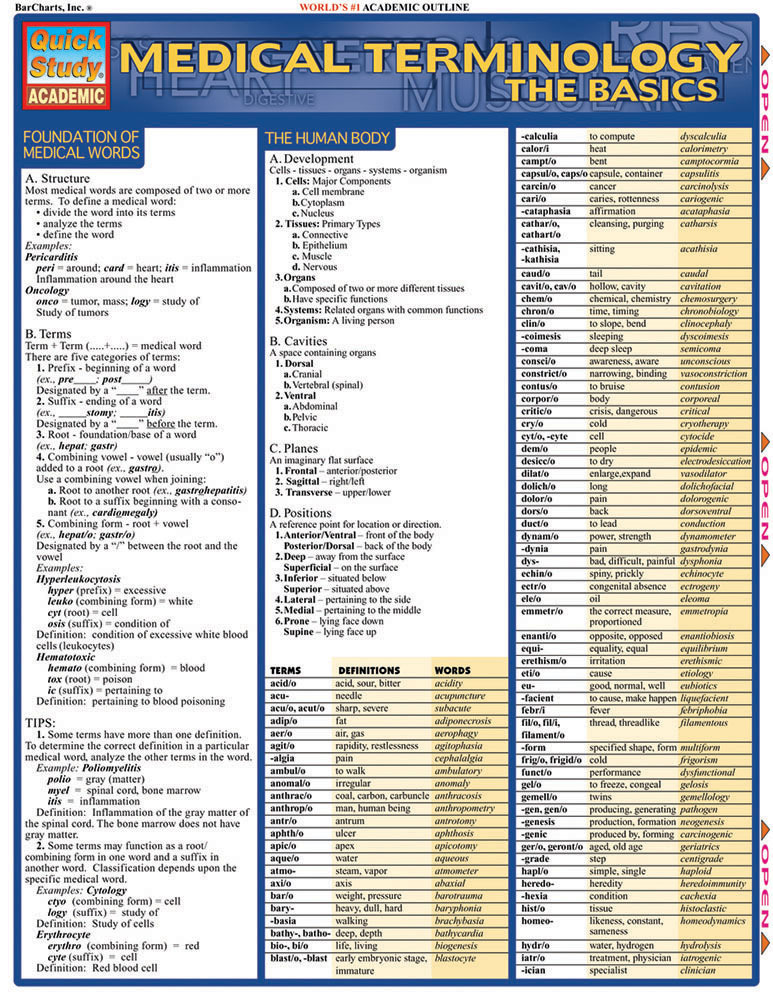 Medical Terminology: The Basics main product photo