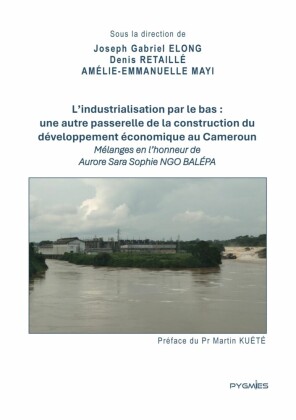 L'industrialisation par le bas : une autre passerelle de la construction du développement économique au Cameroun