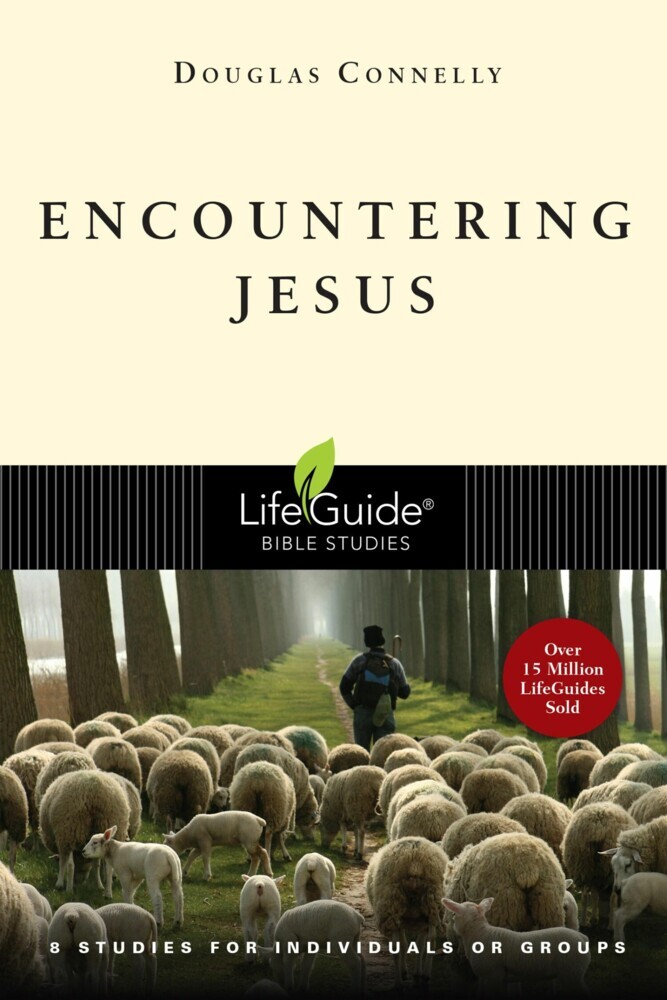 Encountering Jesus main product photo
